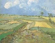Vincent Van Gogh Wheat Fields at Auvers under Clouded Sky (nn04) painting